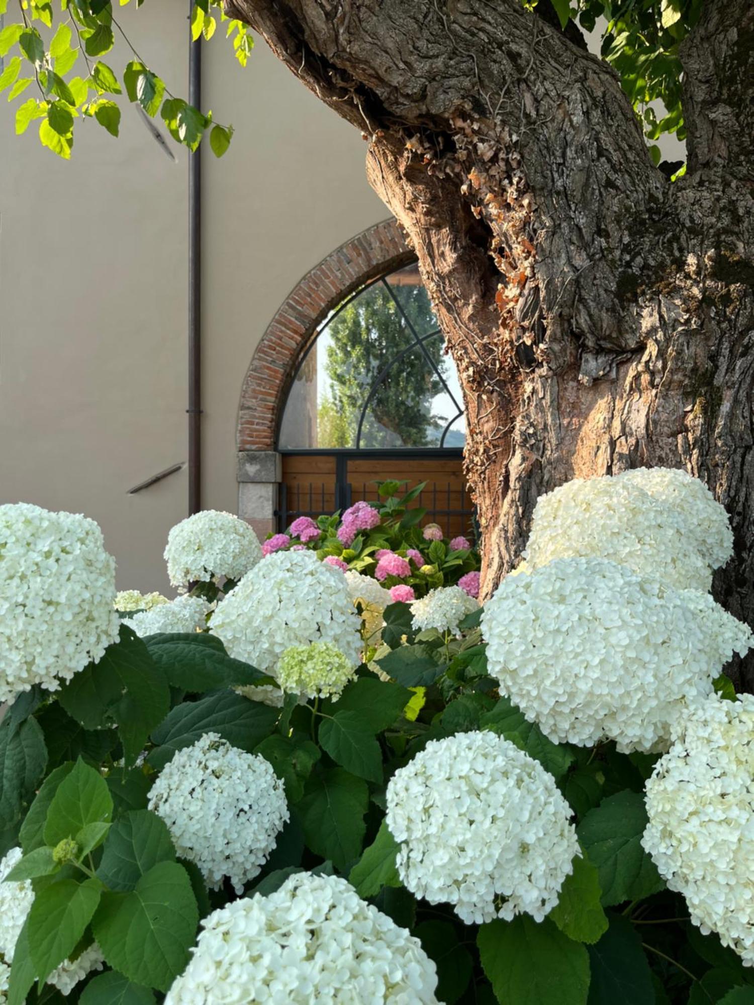 Casa Perazzolo Villa Montecchia di Crosara Екстериор снимка